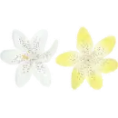 transparent flower