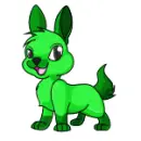 a cute pet