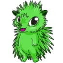 a cute pet