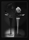 Flowers.