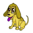 a cute pet