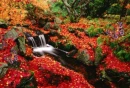 FALL TIME WATERFALL