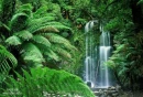 TROPICAL