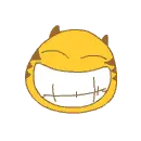cat smile