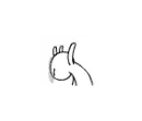 rabbit3