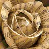 Music is Life