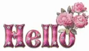 hello