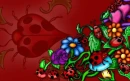 LADYBUGS