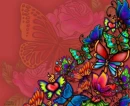 BUTTERFLIES