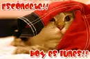 lunes