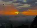 Portland Shyline