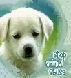 Stop Animal Abuse!