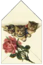 Kitty
