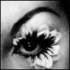 Pretty Eye