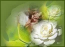 Lovers
