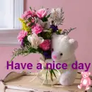 have a  nice day