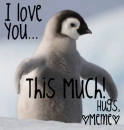 penguin love