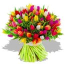 bushel of tulips