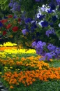 flower*power