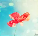 Nature's Beauty..