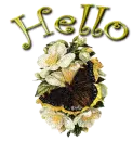 Hello