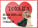 Huellas yorkie