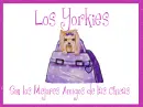 Mejores amigos