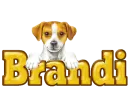 Puppy: Brandi
