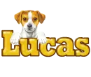 Puppy: Lucas