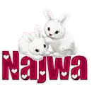 Two White Rabbits: Najwa