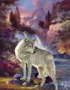 MY WOLF