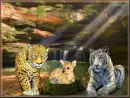 tigers