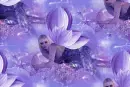 PURPLE FAIRY
