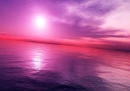PURPLE HAZE