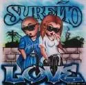 sur 13