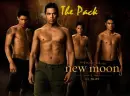 The Pack