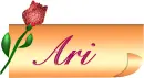 Ari