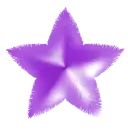Violets