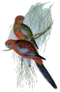 Two