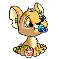 Baby Kougra