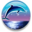 DOLPHINS