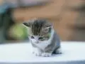 Hey thank-you for it!