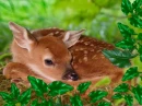 Bambi