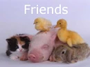 friends