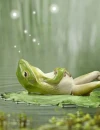green