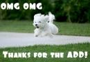 OMG Thanks for the add