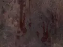 Handprints