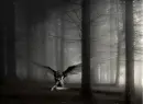 Angel in the Woods