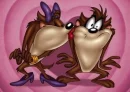 taz devil love looneytoons