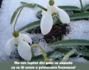 martisor
